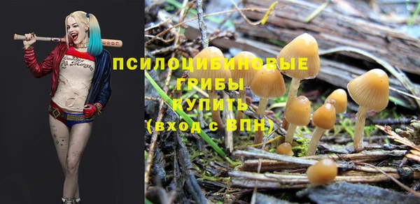 MESCALINE Магадан