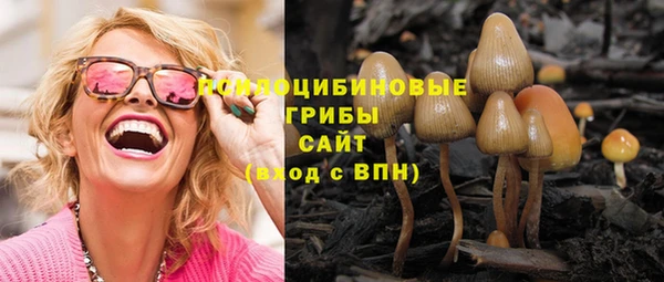 ешки Магас