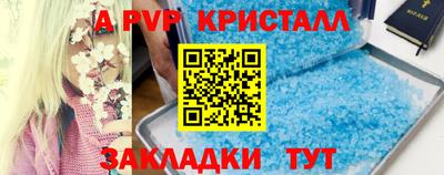 PSILOCYBIN Обнинск