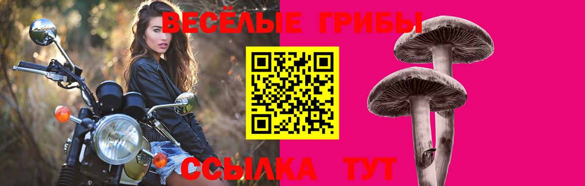 Галлюциногенные грибы MAGIC MUSHROOMS Аксай